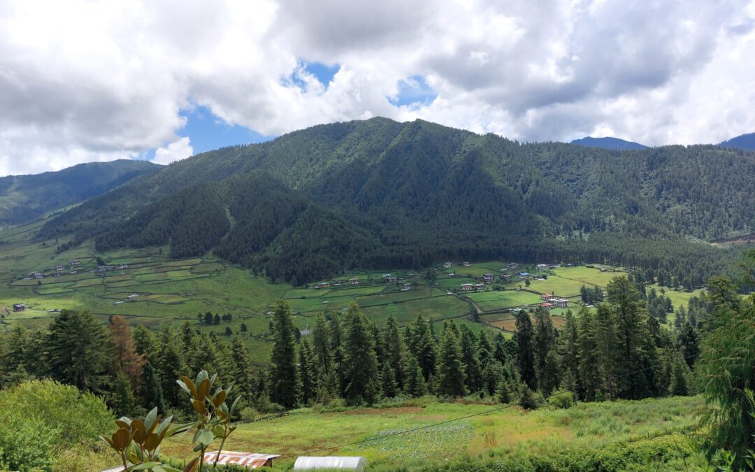 Gangtey Trek